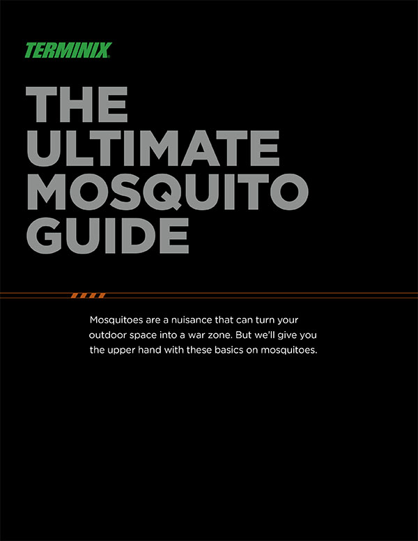 ultimate mosquito guide